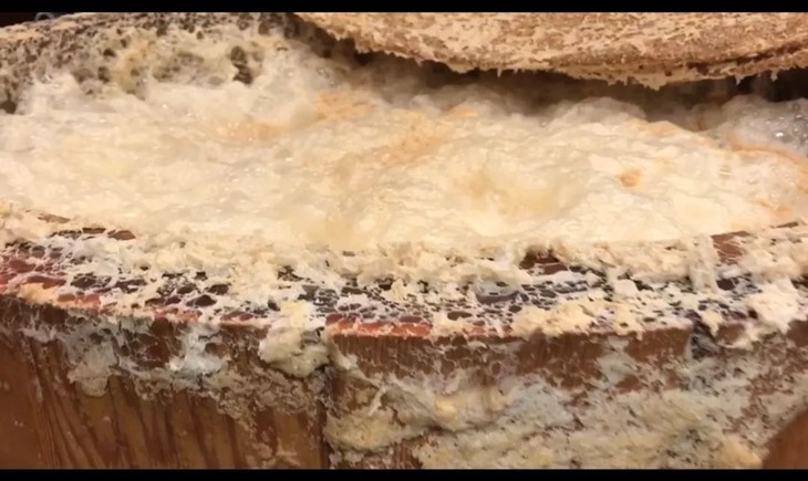 酵母消泡劑應(yīng)用場(chǎng)景圖