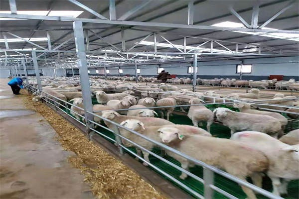 養(yǎng)殖場消泡劑應(yīng)用場景圖