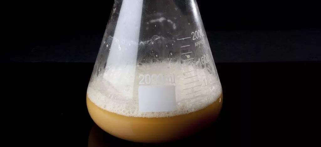 酵母發(fā)酵起泡是怎么回事，怎么處理這些泡沫？