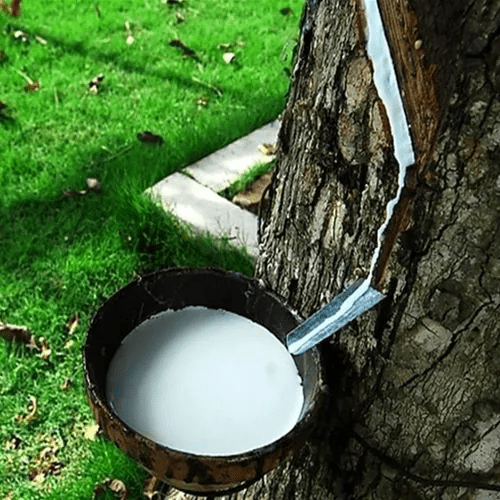 天然乳膠消泡劑應(yīng)用場景圖